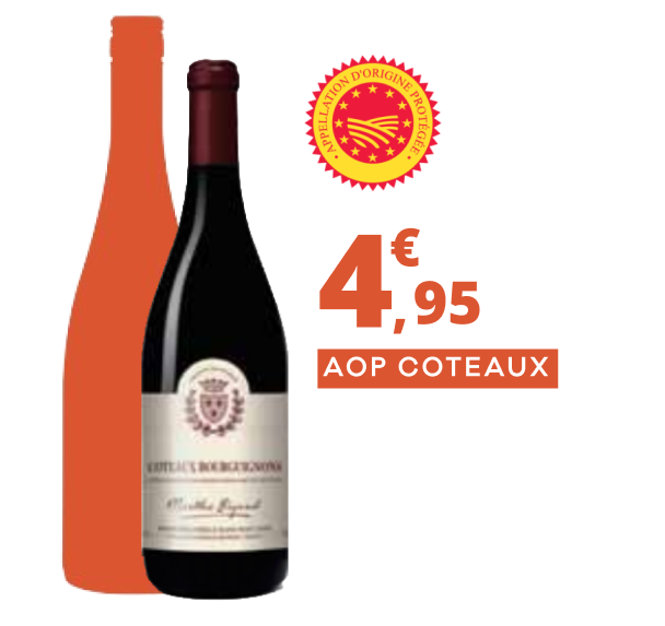 Bouteille_01